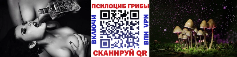 Купить  Алупка  Псилоцибиновые грибы мицелий 